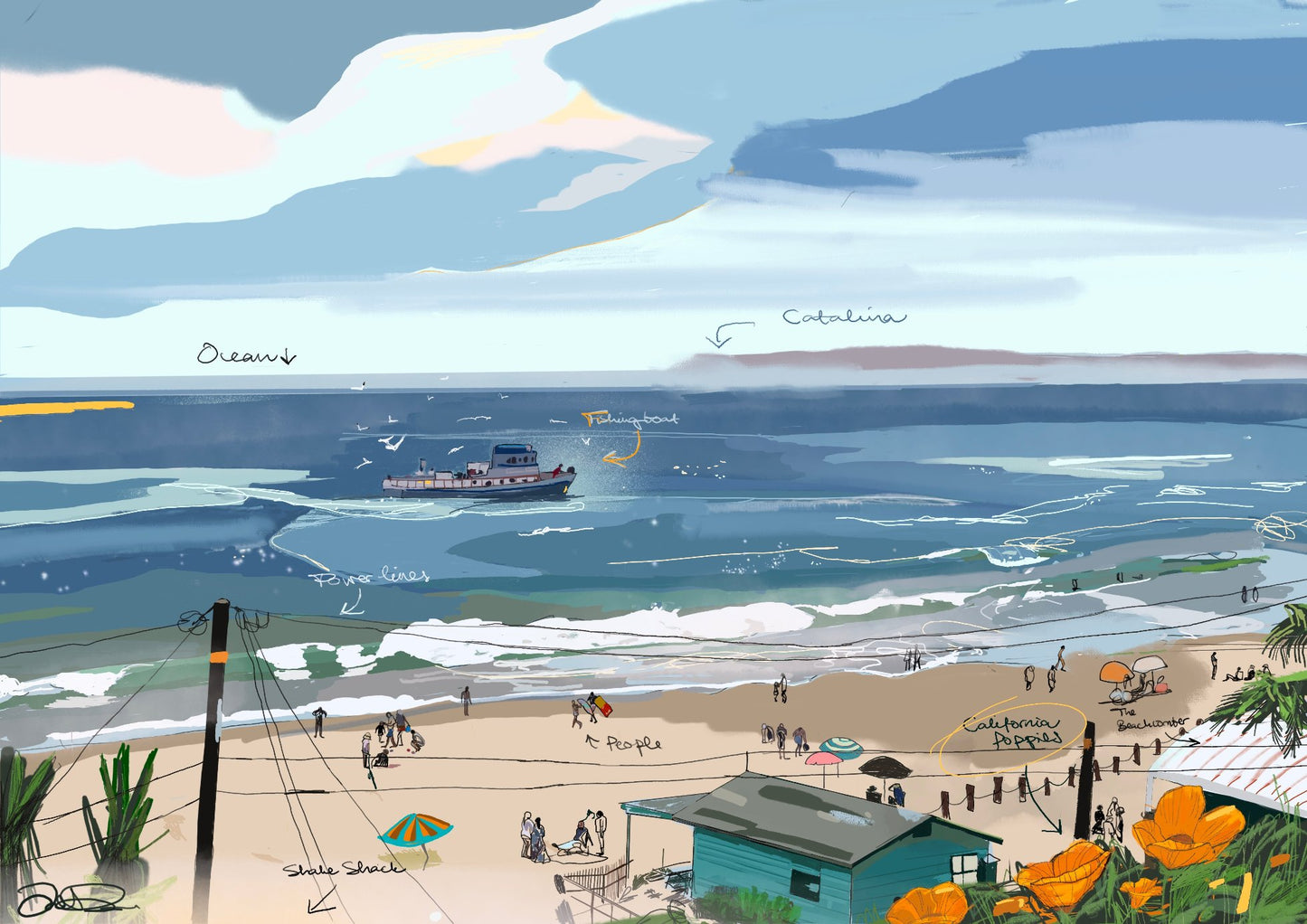 Crystal Cove Daytime
